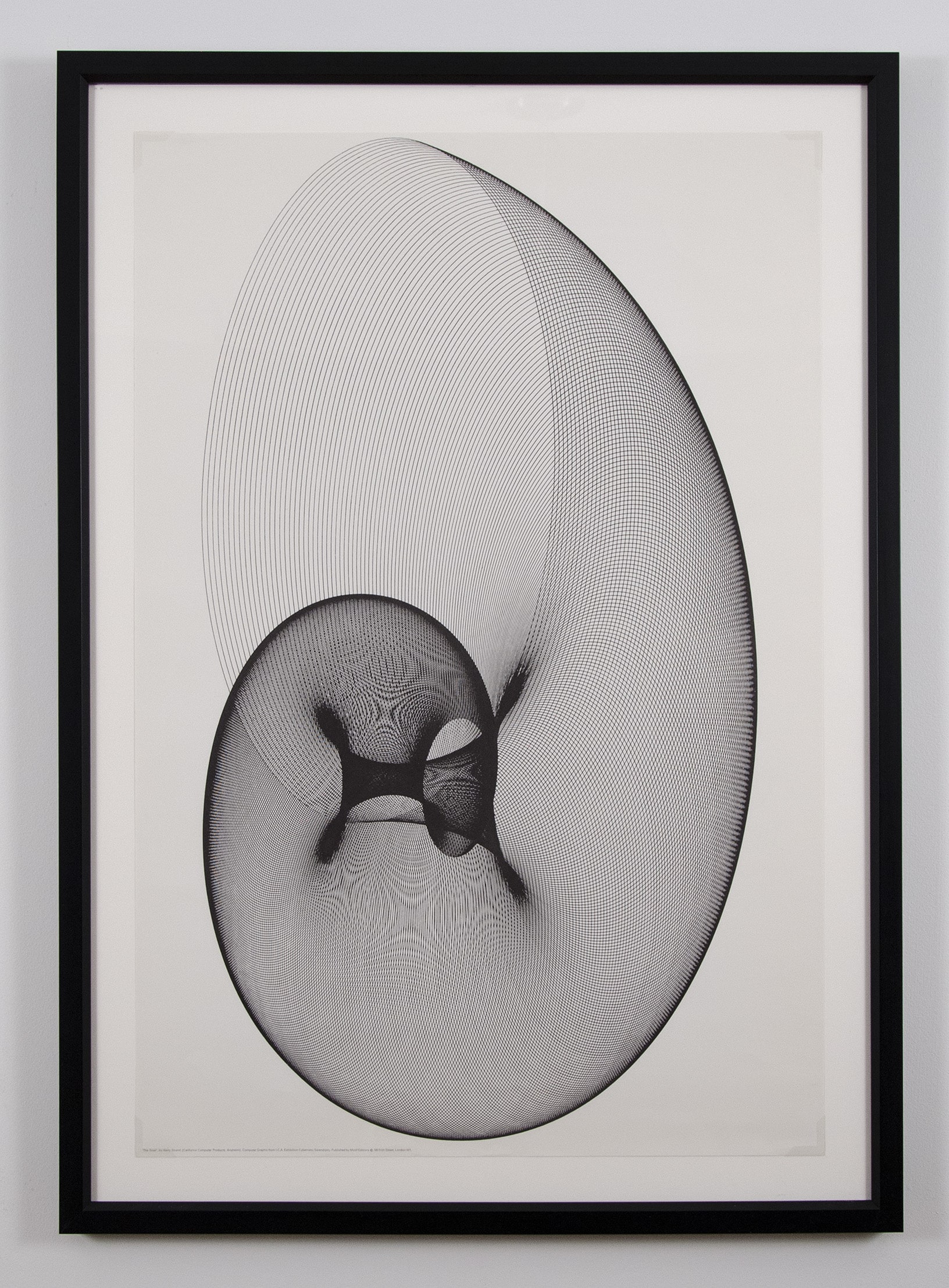 Plexus and The Snail by Kerry Strand and Larry Jenkins