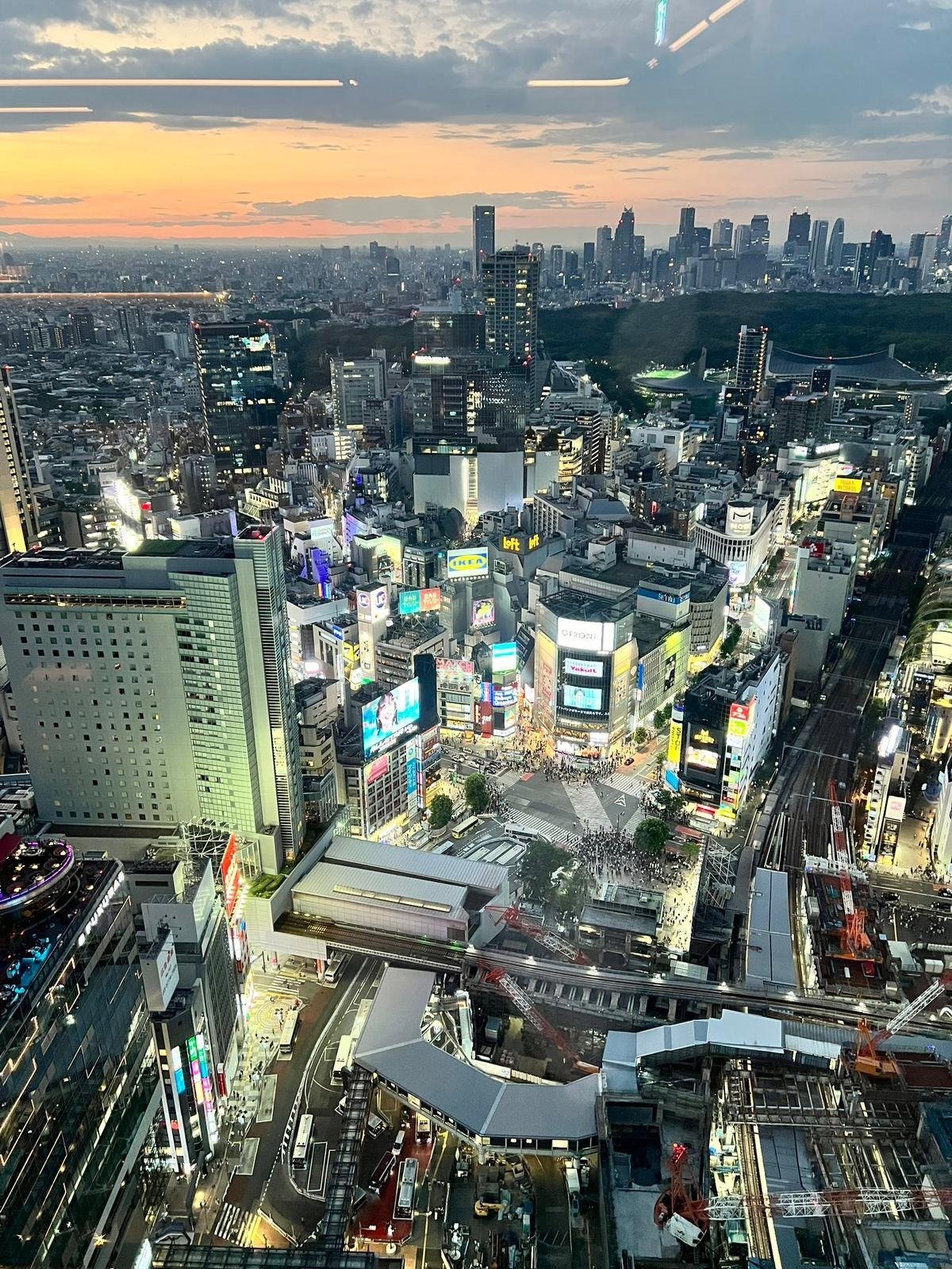 Bright Moments in Tokyo and Buenos Aires