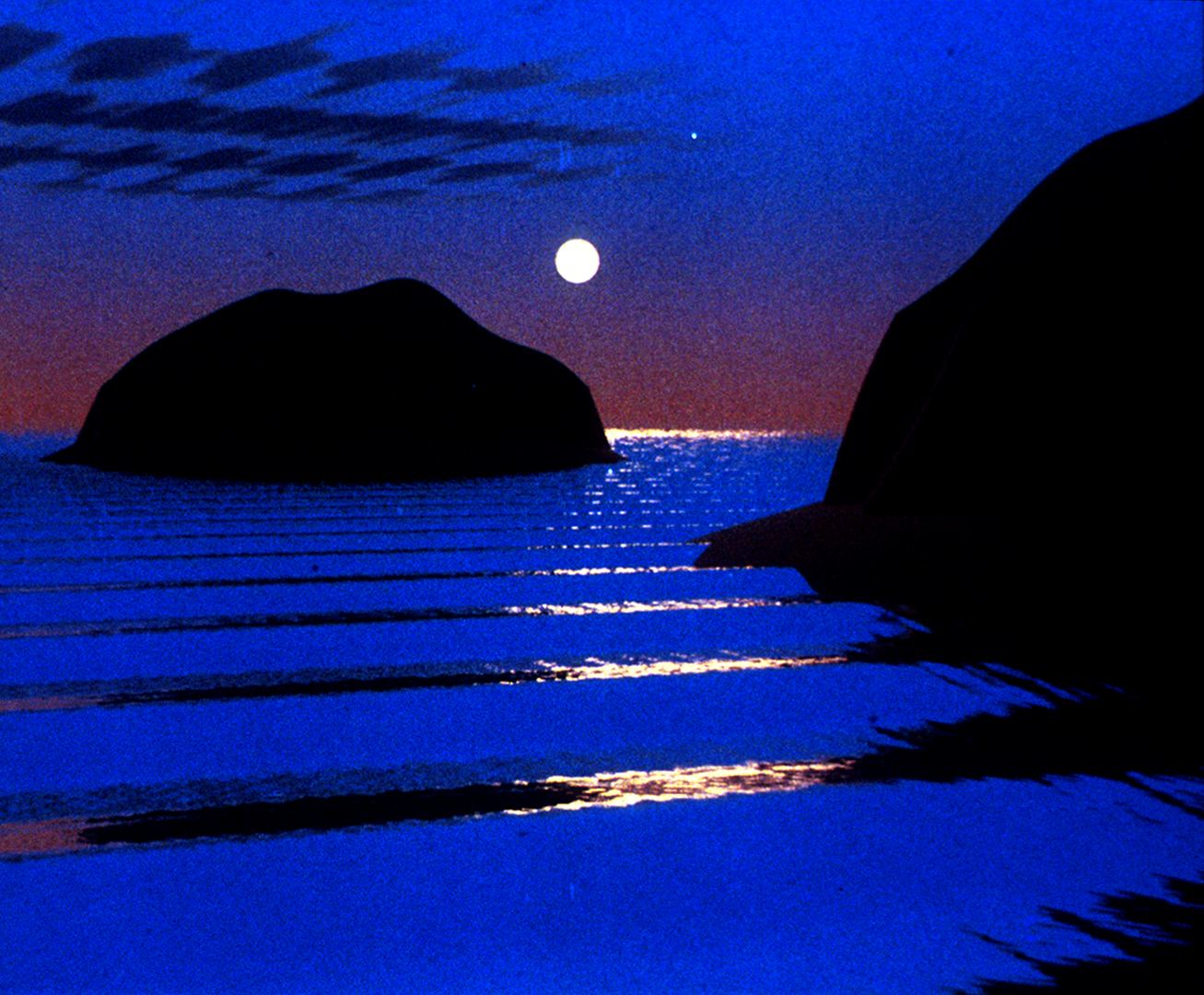 A frame from Nelson Max's Carla's Island showing the simulated ocean at moonrise, with the moon's specular track running across the waves.