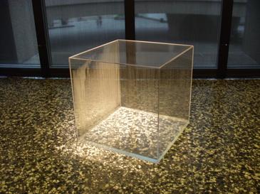 “Condensation Cube” by Hans Haacke