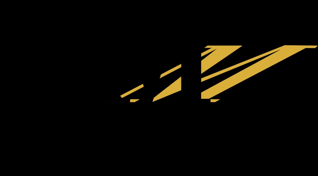 Director 1.0 Released