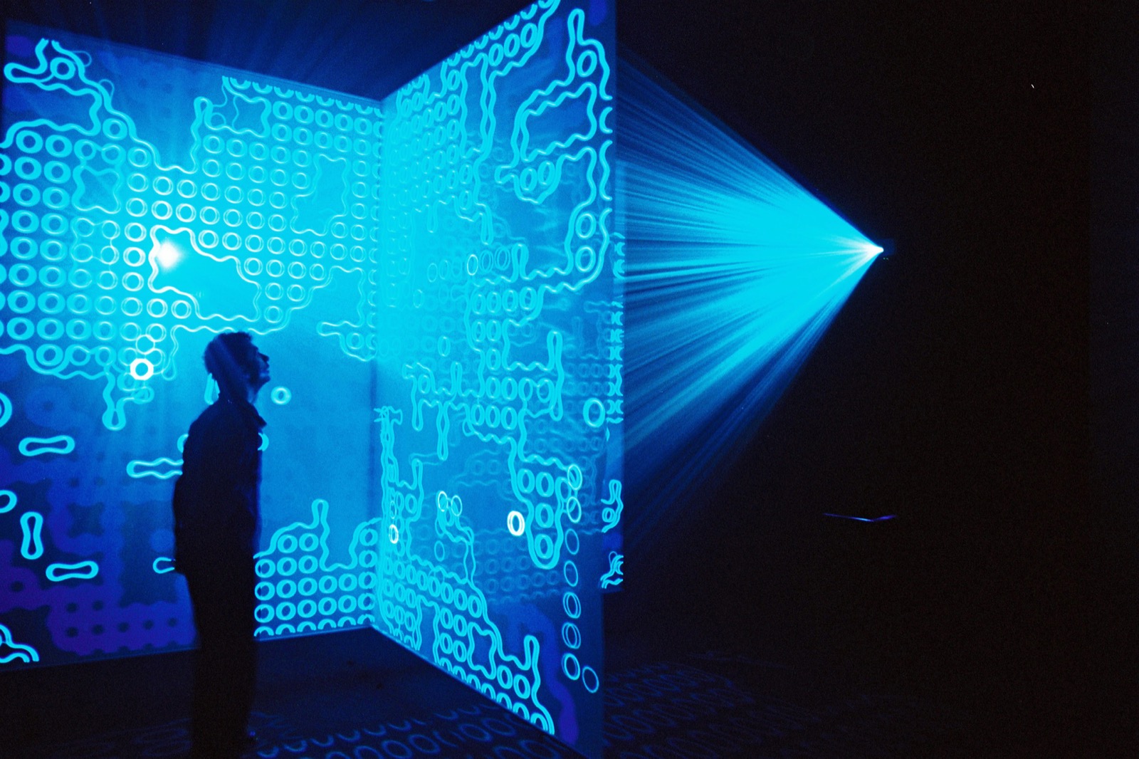 An installation view of Jon McCormack's Eden at ACMI in 2004, showing the translucent screens on which the artificial ecosystem was projected.