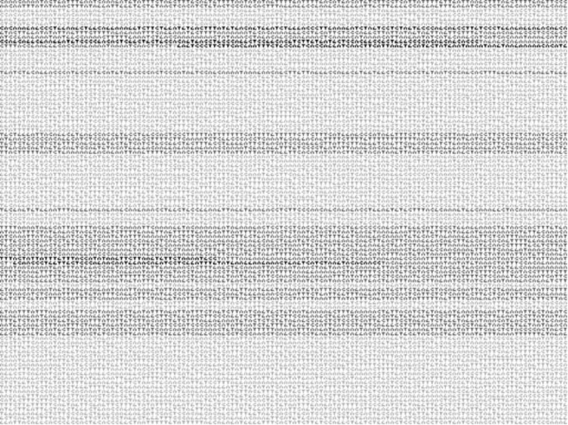 Ben Fry's Genomic Cartography: Chromosome 18, in which the chromosome's sequence is set out letter by letter so that repeated regions emerge as darker bands across the field.