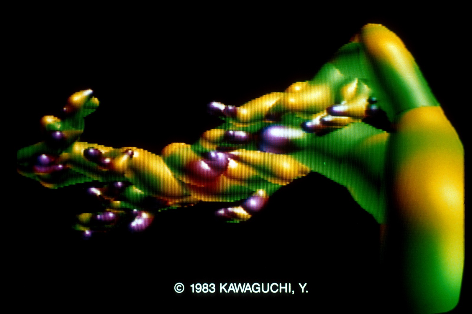 A frame from Yoichiro Kawaguchi's Growth (1983), the shell-like branching form generated by his GROWTH algorithm and rendered on the LINKS-1 system in Osaka.