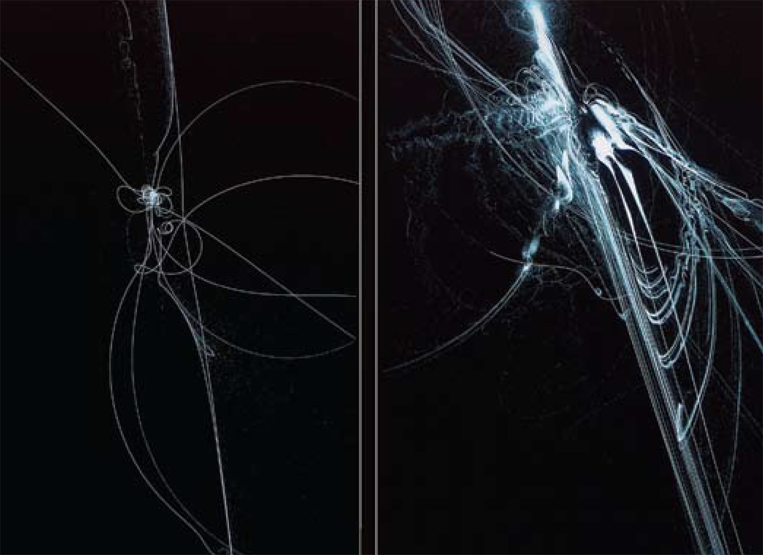 Two panels of Keiko Kimoto's Imaginary-Numbers, the curves and spirals generated from a non-linear dynamics formula, as reproduced in the ACM SIGGRAPH Art Show Archives.