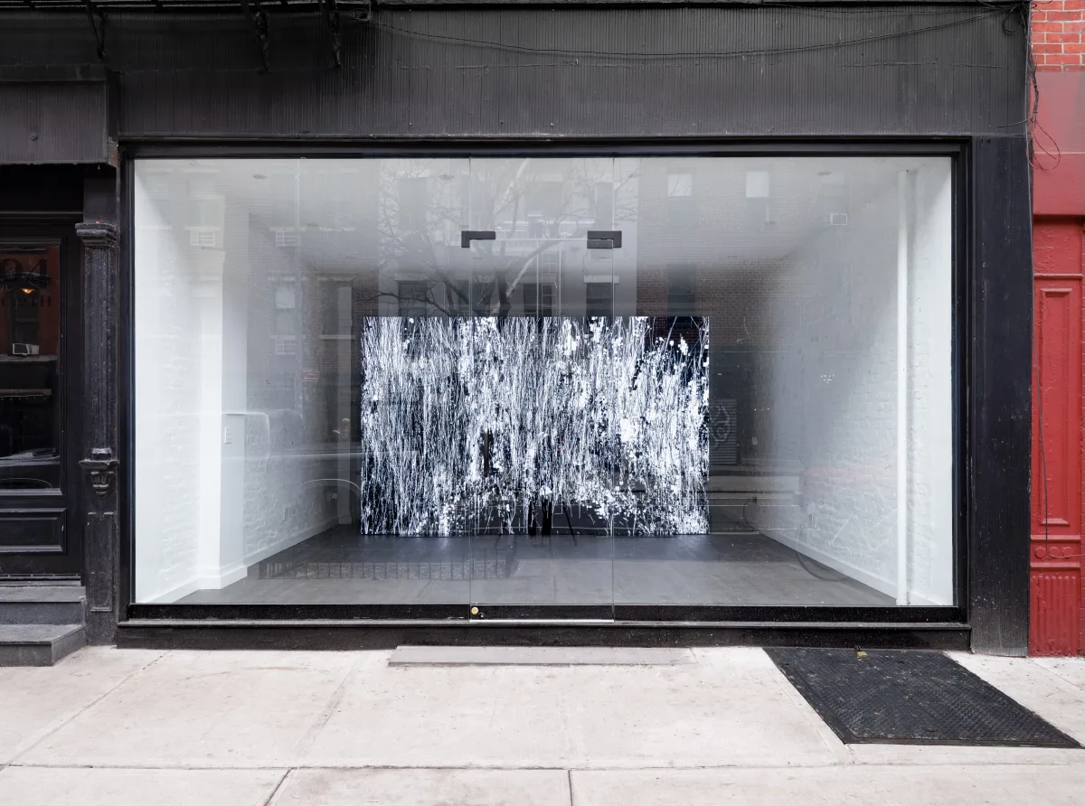 Street view of Nguyen Wahed’s exhibition of Leander Herzog’s Infinite Garden. Courtesy of the gallery