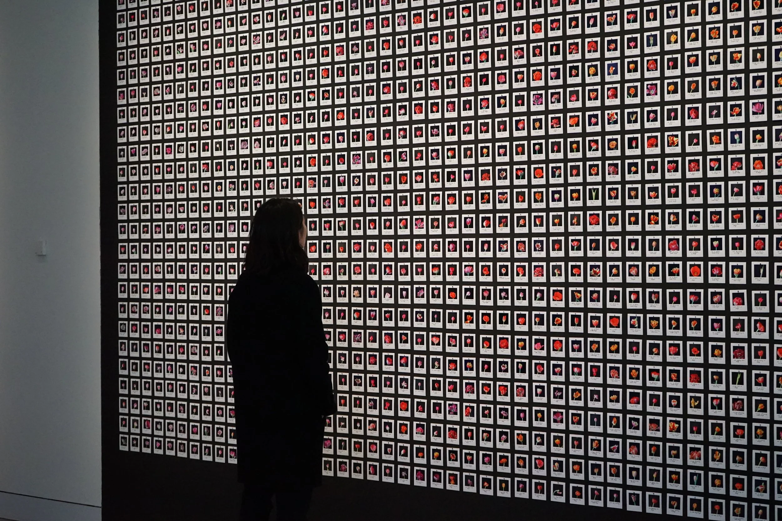 Installation view of Anna Ridler's Myriad (Tulips): a wall of ten thousand hand-labelled photographs of tulips, the training set behind her GAN works, with a visitor standing before it.