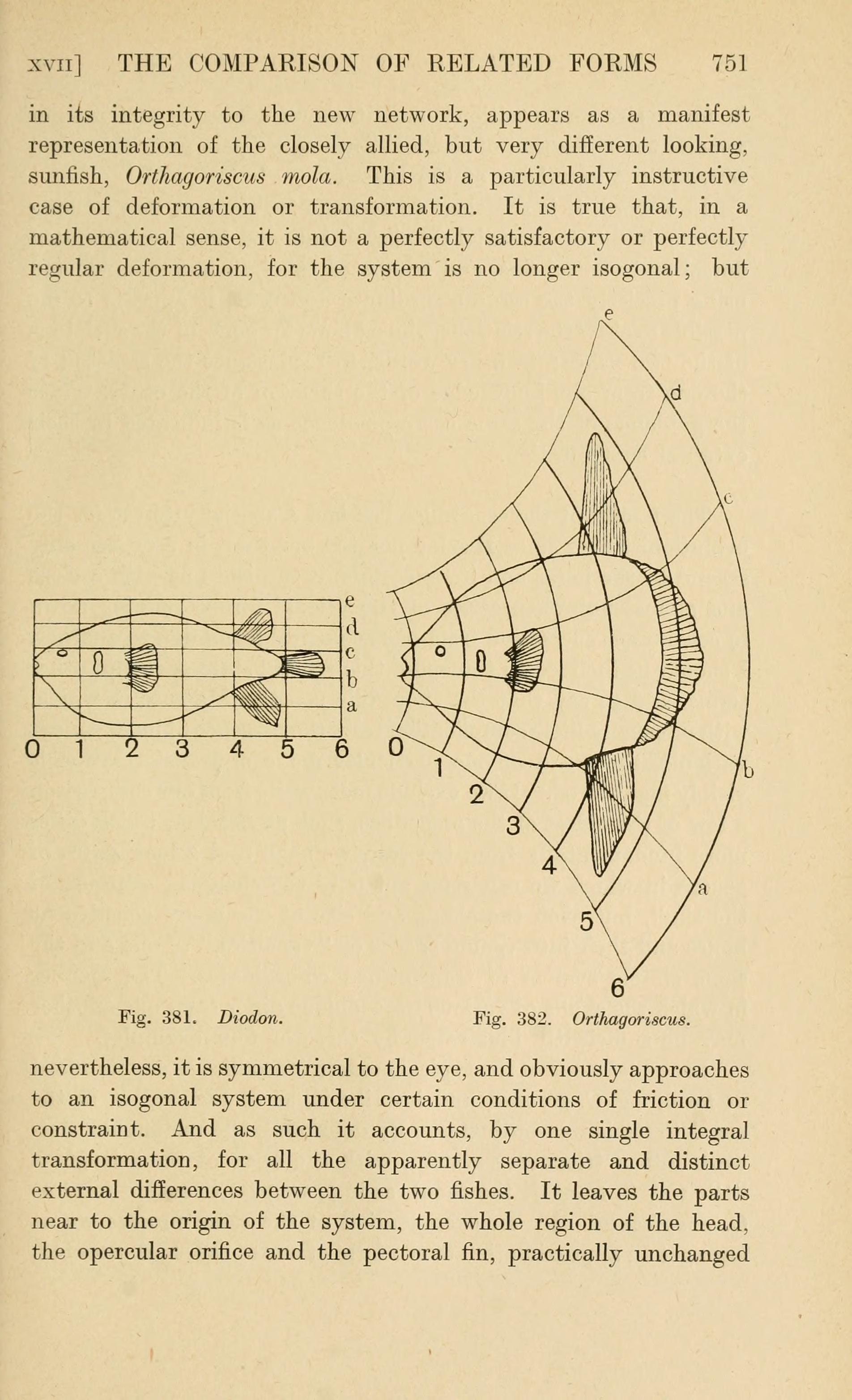 An original book page compares two fish outlines drawn over rectangular and curved coordinate grids.