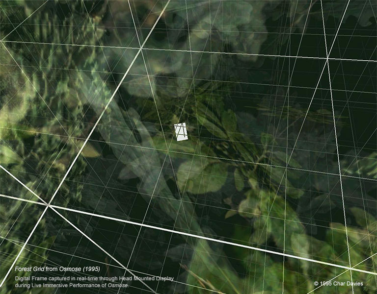 'Forest Grid', a digital frame captured in real time from Char Davies's immersive virtual environment Osmose (1995), from the artist's own Immersence site.