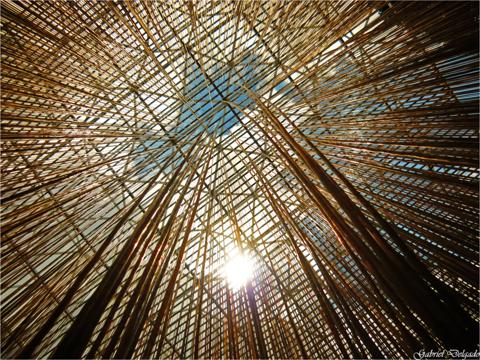 A Penetrable by Jesus Rafael Soto at the Museo de Arte Moderno Jesus Soto, Ciudad Bolivar - the hanging curtain of strands viewers are meant to walk into.