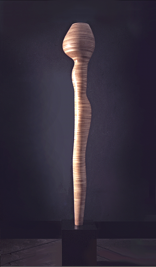 Mallary's Quad III, the laminated-plywood sculpture cut from contours generated by his TRAN2 program, standing on a black plinth.