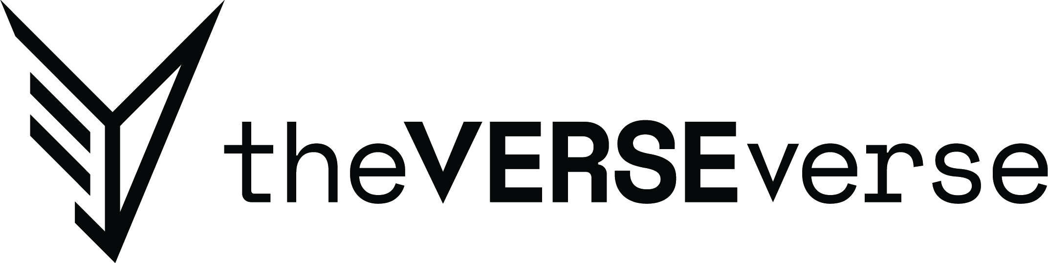 theVERSEverse Founded
