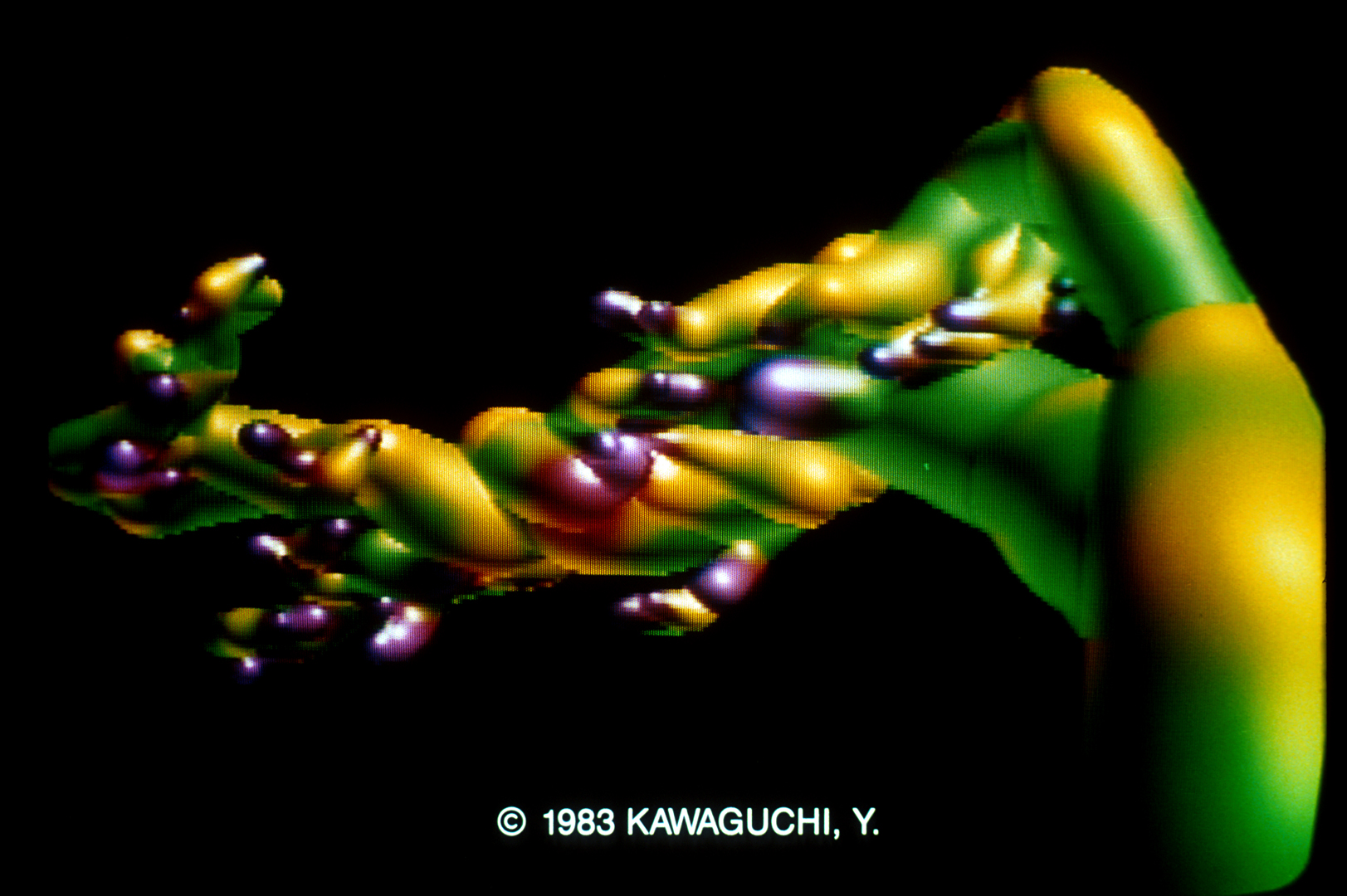 Glossy green, yellow and purple organic computer-generated forms extend into a black background; the original 1983 Kawaguchi copyright line remains visible.